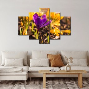 Tablou cu floare violetă (150x105 cm)