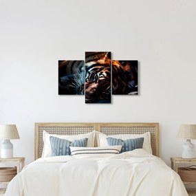 Tablou cu tigrul dormind (90x60 cm)