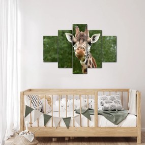 Tablou cu girafa (150x105 cm)