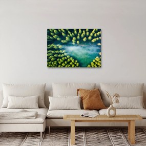 Tablou - O pădure învăluită în ceață (70x50 cm)