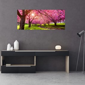 Tablou - Cireși înfloriți, Hurd Park, Dover, New Jersey (120x50 cm)