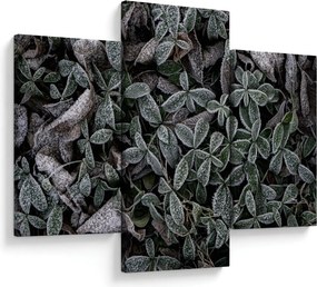 Tablou - Plante înghețate (90x60 cm)