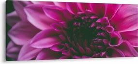 Tablou cu floarea roz (120x50 cm)