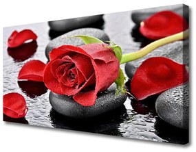 Tablou pe panza canvas Rose pietre Floral Roșu Gri