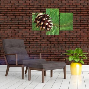 Tablou cu con (90x60 cm)