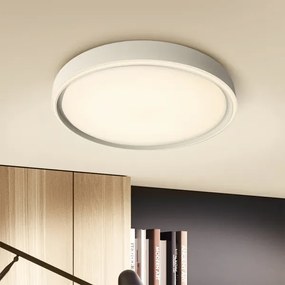 Brilagi-LED Corp de iluminat dimabil NANCI LED/60W/230V 3000-6500K Ø49 cm argintiu +telecomandă
