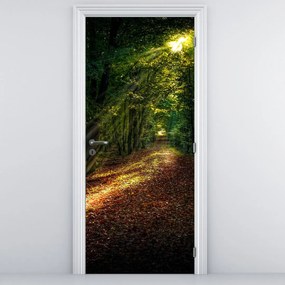 Fototapet pentru ușă - Drum forestier (95x205cm)