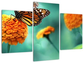 Tablou cu fluture (90x60 cm)