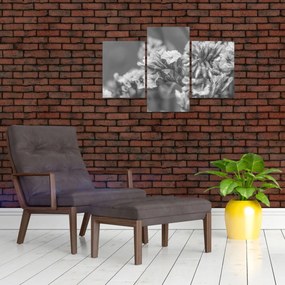 Tablou - Flori uscate (90x60 cm)