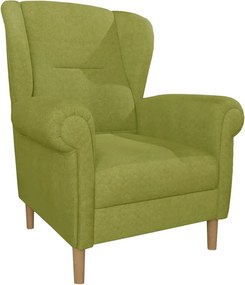 Fotoliu verde wing Swan – Ropez