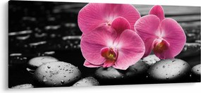 Tablou - Orhidee roz (120x50 cm)