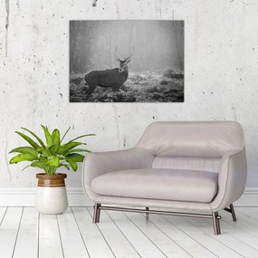 Tablou - Căprioare in pădure,alb-negru (70x50 cm)