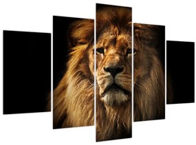 Tablou - Leu cu o coamă bogată (150x105 cm)