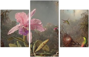 Tablou - Martin Johnson Heade, Cattleya Orchid and Three Hummingbirds, reproducere (90x60 cm)
