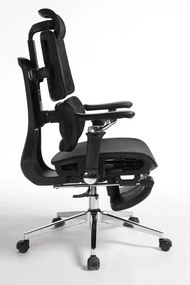 RESIGILAT- DeluxStar T10 Premium – Scaun ergonomic, cotiere 6D ultra moi, Suport Lombar 3 Zone Dinamice, Spătar ajustabil pe inaltime, Sezut Translatie, Tetiera 4D, mecanism multifunctional inclinare/blocare, pivotant, Mesh, Negru