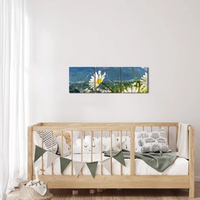 Tablou - Primăvara în Alpi (cu ceas) (90x30 cm)
