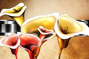 Tablou flori calla lilly elegante