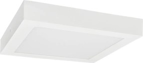 Plafonieră LED FENIX LED/12W/230V 3800K d. 17 cm alb zăpadă