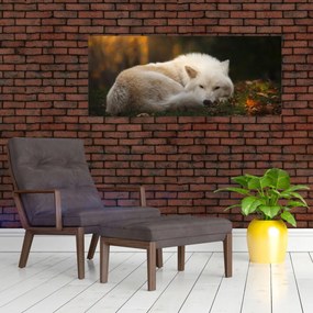 Tablou - Lupul care se odihnește (120x50 cm)
