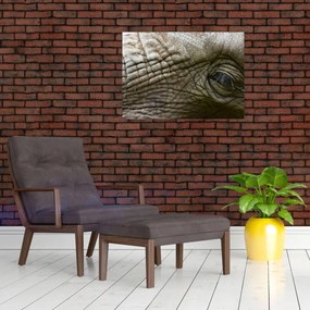 Tablou pe sticlă - Prim-planul ochiului de elefant vechi (70x50 cm)
