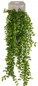 423623 Emerald Ficus artificial Pumila 80 cm