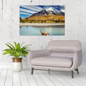 Tablou - Parcul Național Torres del Paine (90x60 cm)