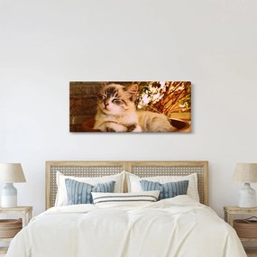Tablou cu pisica în ghiveci (120x50 cm)