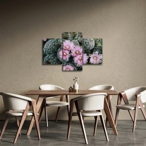 Tablou floare de cactus (90x60 cm)
