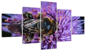 Tablou cu albina pe floare (125x70 cm), în 40 de alte dimensiuni noi
