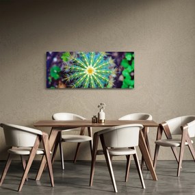 Tablou cu cactus (120x50 cm)
