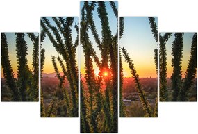 Tablou - Plante (150x105 cm)