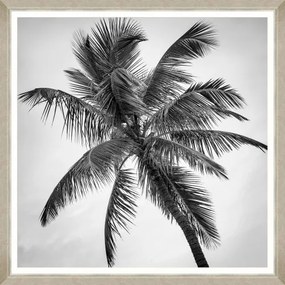 Tablou Framed Art Palm Splendor I