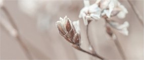 Tablou - Detaliu ramură (120x50 cm)