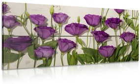 Tablou flori violete frumoase