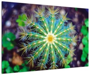 Tablou cu cactus (90x60 cm)