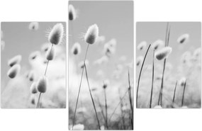 Tablou - Boho iepuraș coadă de iarbă (90x60 cm)