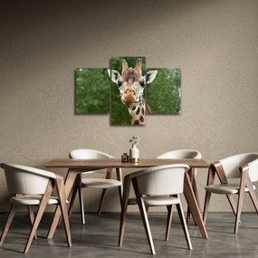 Tablou cu girafa (90x60 cm)