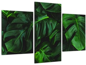 Tablou cu frunze Monstery (90x60 cm)