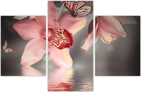 Tablou - Flori și fluture (90x60 cm)