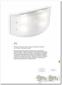Aplica de perete, Plafonier dim. 45x14cm ALI AP2 026558