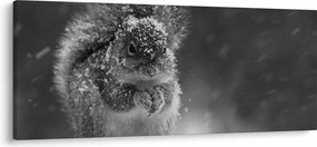 Tablou - Veveriță în timpul iernii (120x50 cm)