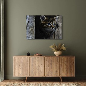 Tablou cu pisicuța (90x60 cm)