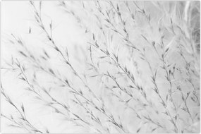 Tablou - Iarbă de pampas N⁰2 (90x60 cm)