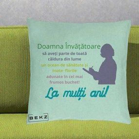 Cadou pentru Invatatoare - Perna Personalizata Doamna Invatatore La Multi Ani cu Silueta si Text Colorat, 40x40 cm, Verde Menta, Husa Detasabila, Perna Inclusa, BEKZ®
