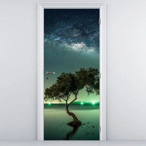Fototapet pentru ușă - Cer de noapte (95x205cm)