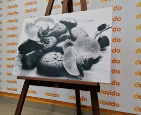 Tablou interacțiunea frumoasă a pietrelor și orhideelor în design alb-negru