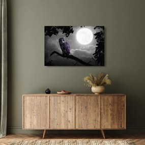 Tablou - Bufniță de noapte, bufniță mov (90x60 cm)