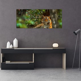 Tablou - Tigru odihnindu -se (120x50 cm)