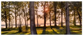Tablou cu pomi lângă lac (120x50 cm)