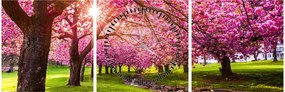 Tablou - Cireși înfloriți, Hurd Park, Dover, New Jersey (cu ceas) (90x30 cm)